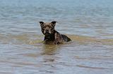 STAFFIE 139